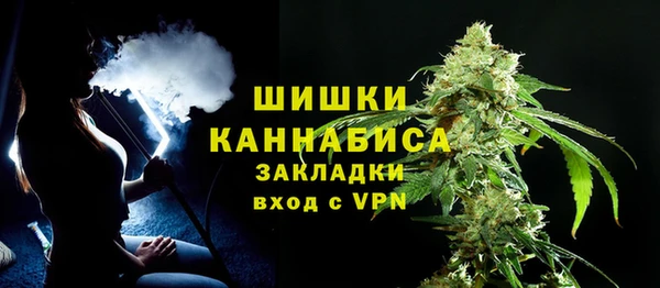 мдпв Няндома