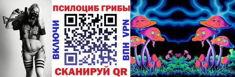 Псилоцибиновые грибы Psilocybe  Искитим 