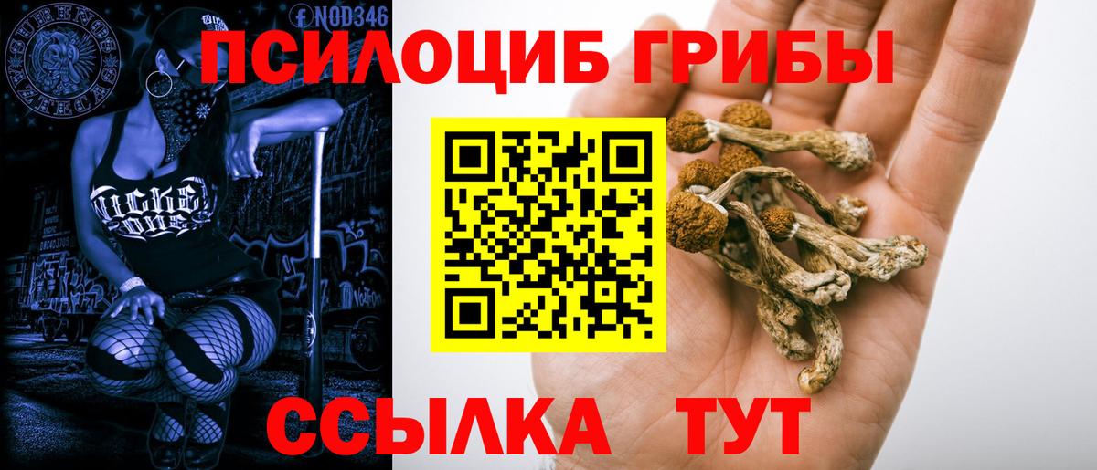 Псилоцибиновые грибы GOLDEN TEACHER Искитим