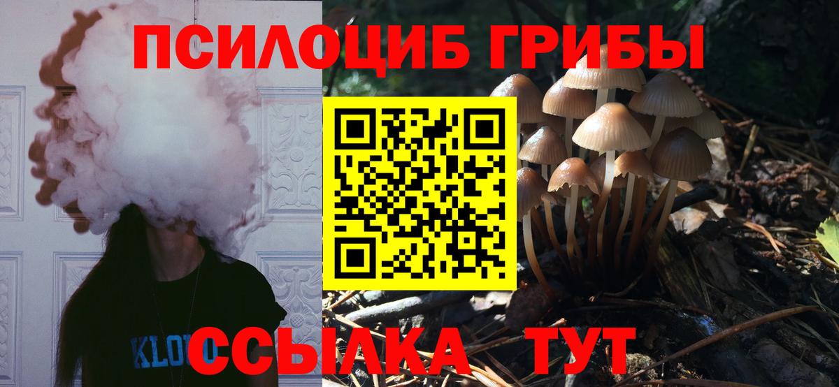 Галлюциногенные грибы мухоморы  Вход с VPN  Искитим 